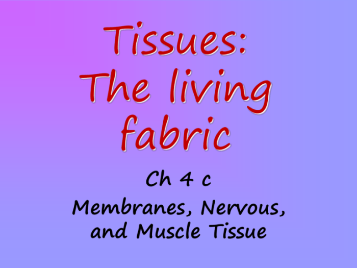 Ch 4 tissue the living fabric