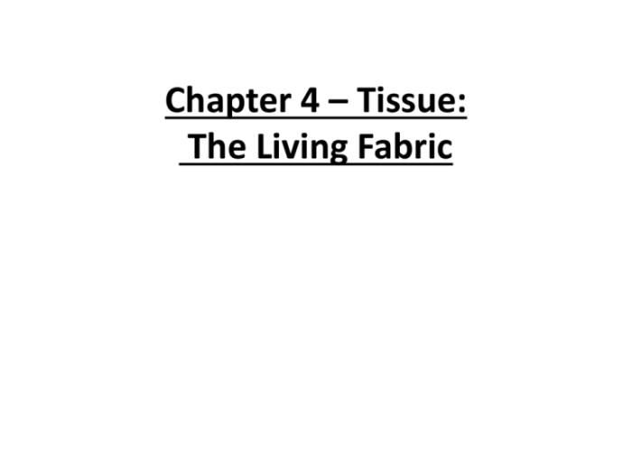 Living fabric tissues ppt powerpoint presentation skip