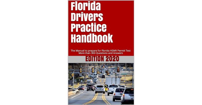 Florida 2-20 license study guide pdf free