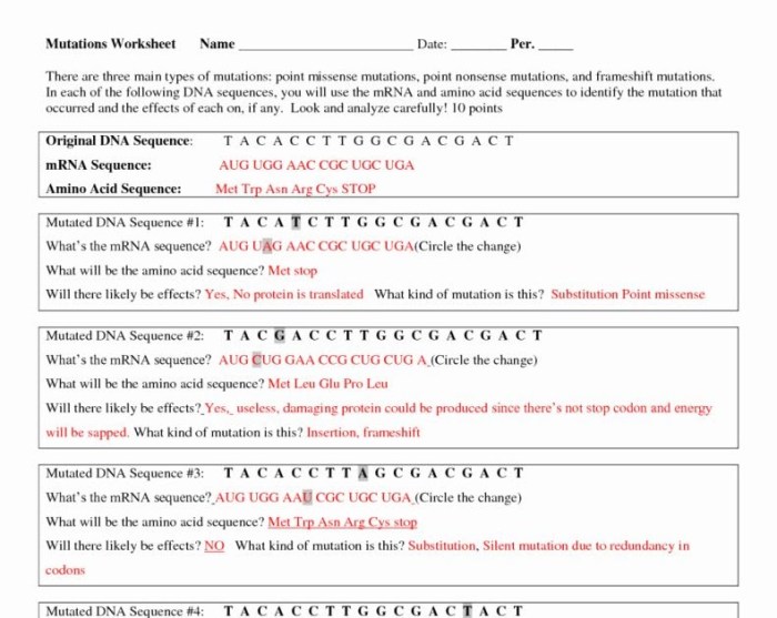 Dna profiling practice worksheet answer key