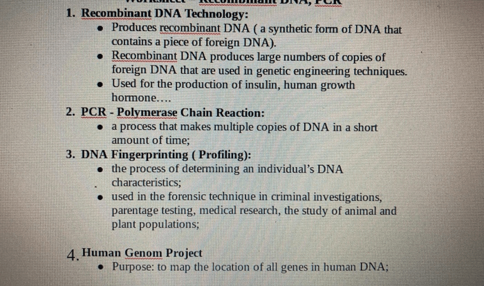 Dna profiling practice worksheet answer key