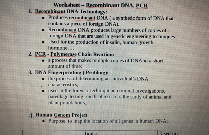 Dna profiling practice worksheet answer key