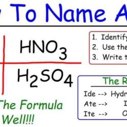 Pogil naming acids answer key