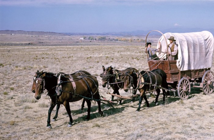 Covered wagons heading west painting