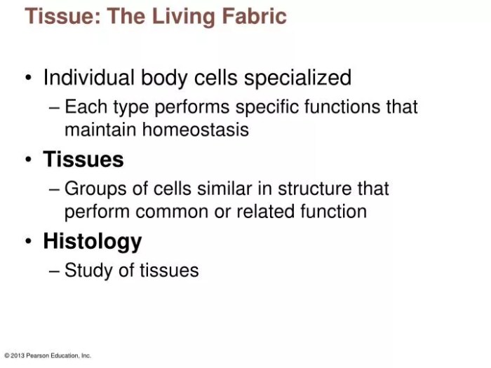 Ch 4 tissue the living fabric