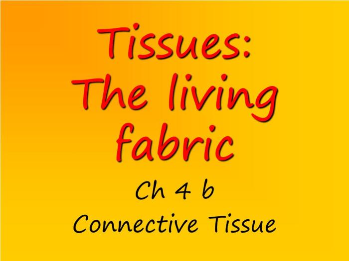 Ch 4 tissue the living fabric