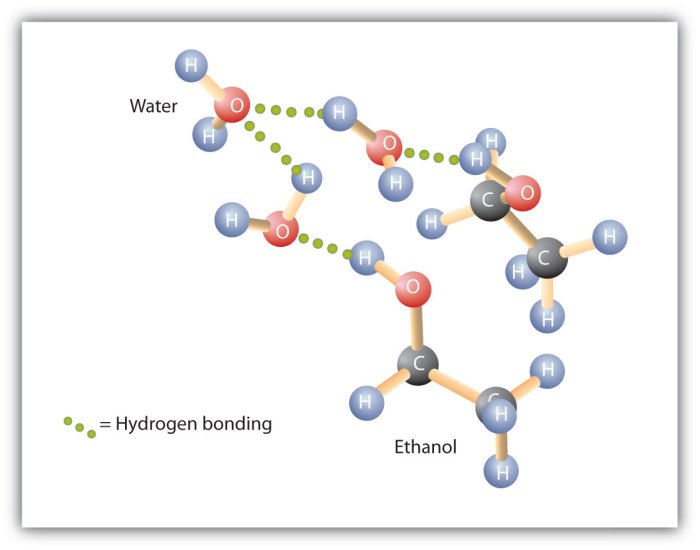 Ethyl alcohol likely exhibits more hydrogen bonding than water