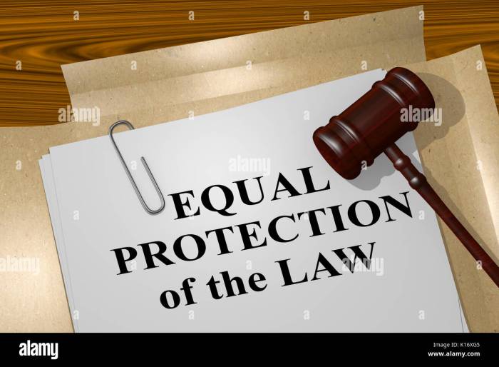 Legal reference sheet equal protection clause answer key