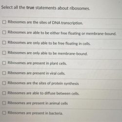 Question following true except wbs breakdown structure which work homeworklib