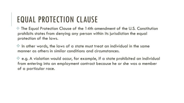 Legal reference sheet equal protection clause answer key