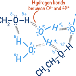 Ethyl alcohol likely exhibits more hydrogen bonding than water